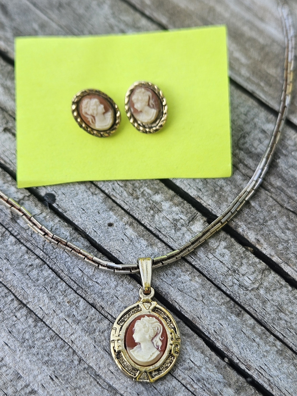Gold-Tone Cameo Pendant Necklace and Earring Set - Classic Ivory on Terracotta